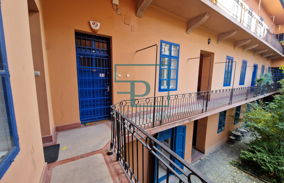 VI. kerület, Paulay Ede utca