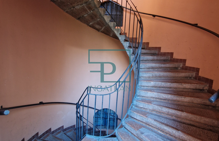 VI. kerület, Paulay Ede utca