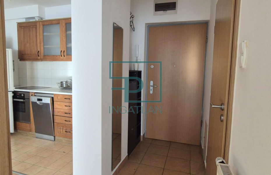 IX. kerület, Viola utca