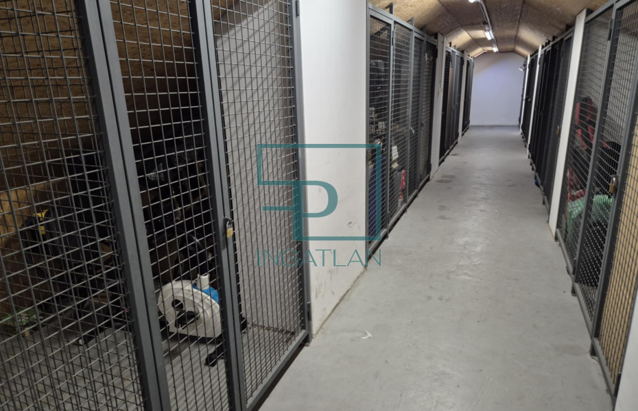 XIV. kerület, Tábornok utca