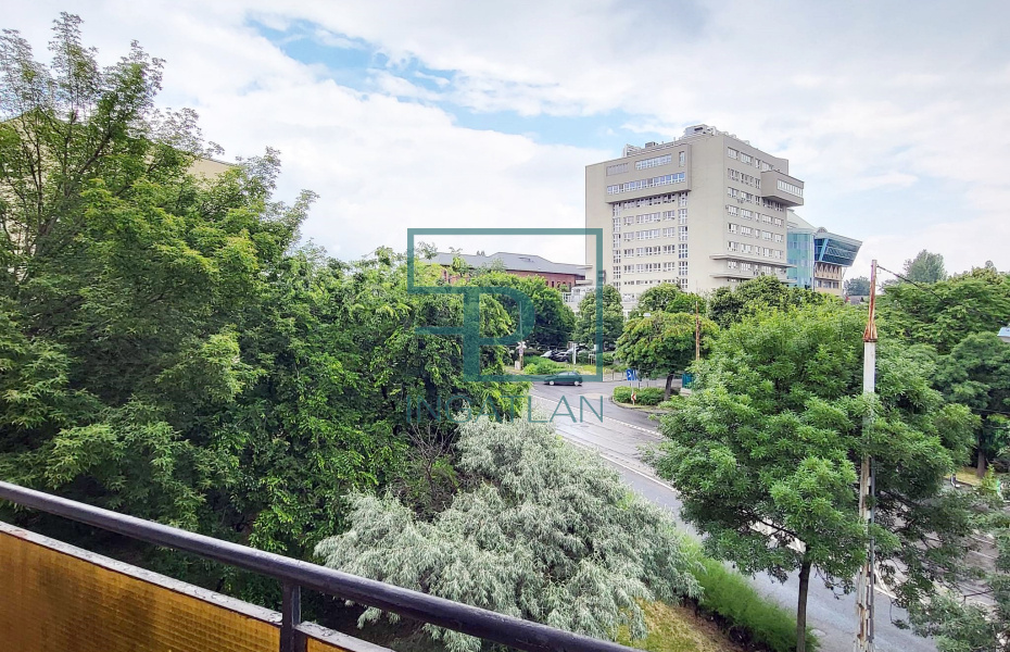 IX. kerület, Haller utca