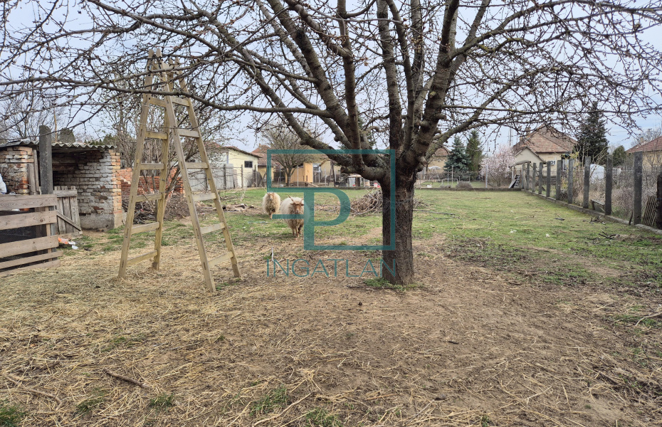 Ócsa, Árvácska utca