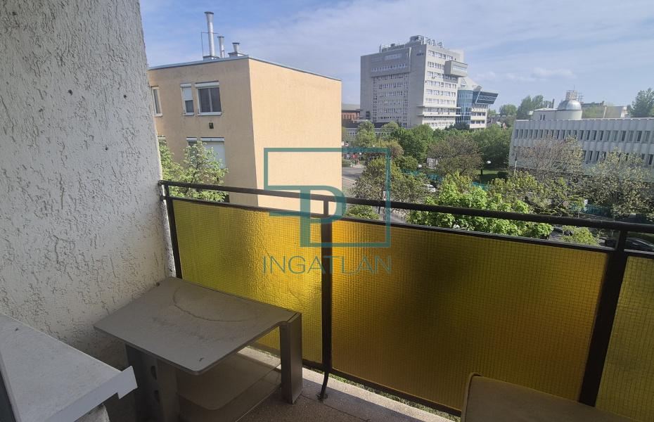 IX.kerület, Haller utca