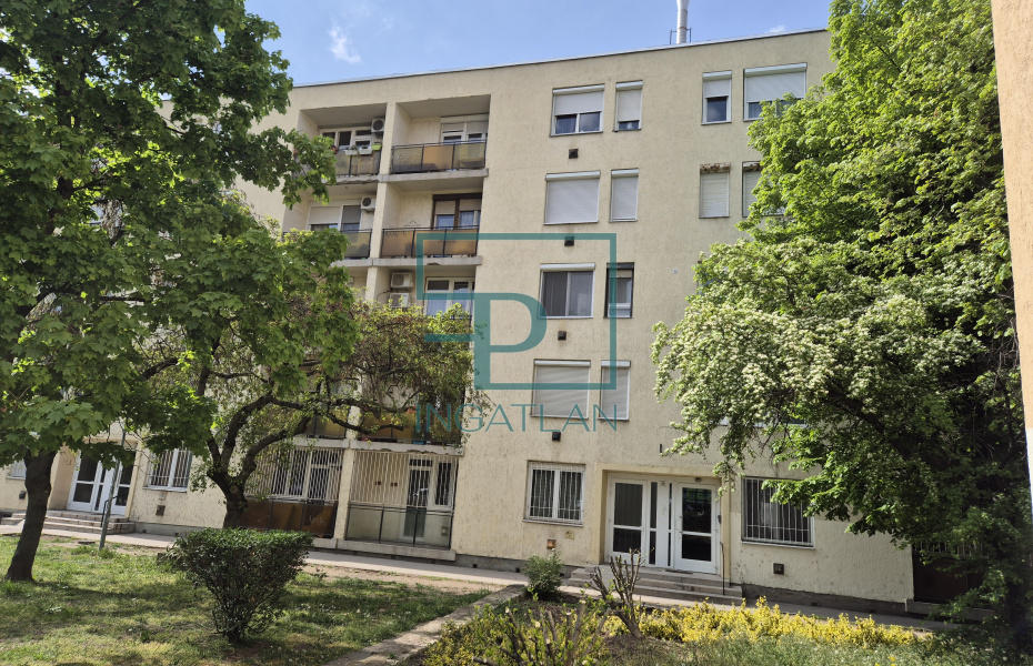 IX.kerület, Haller utca